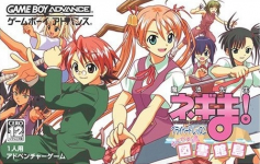 Mahou Sensei Negima!