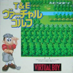 T&E Virtual Golf