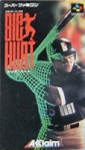 Big Hurt Baseball