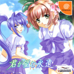 Kimi ga Nozomu Eien (Limited Edition)
