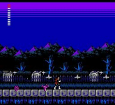 Castlevania II: Simon's Quest