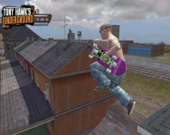 Tony Hawk's Underground