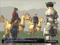 Final Fantasy XI Online Pack 2004