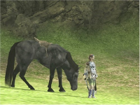 Shadow of the Colossus