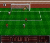 World Soccer 94: Road to Glory