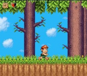 Super Adventure Island II